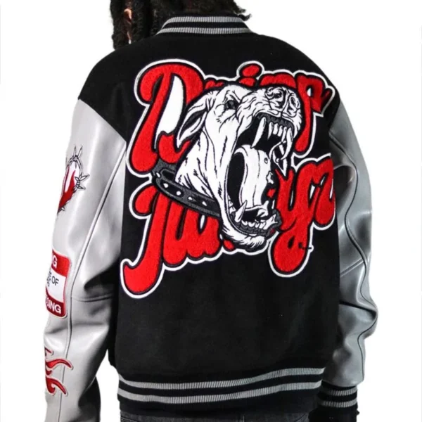 College Varsity Jacket product image for private label streetwear manufacturing, view 4